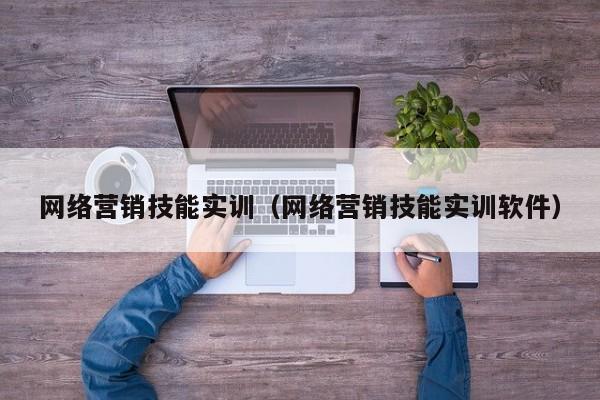 网络营销技能实训（网络营销技能实训软件）