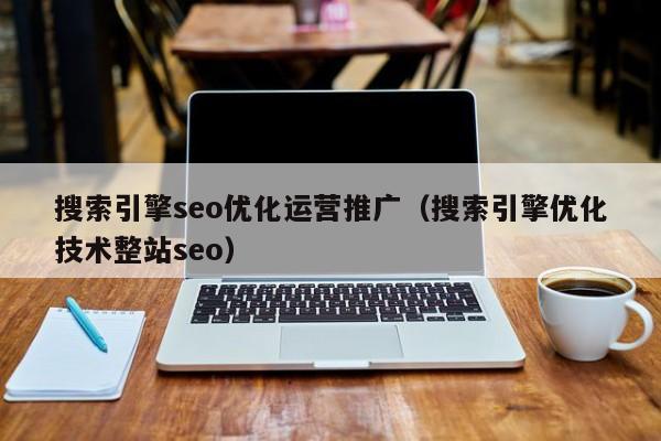 搜索引擎seo优化运营推广（搜索引擎优化技术整站seo）