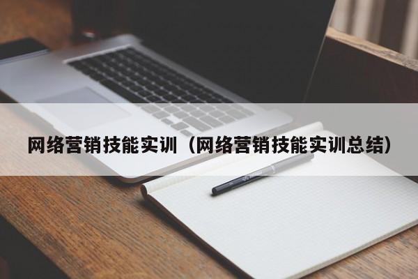 网络营销技能实训（网络营销技能实训总结）