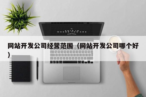 网站开发公司经营范围（网站开发公司哪个好）