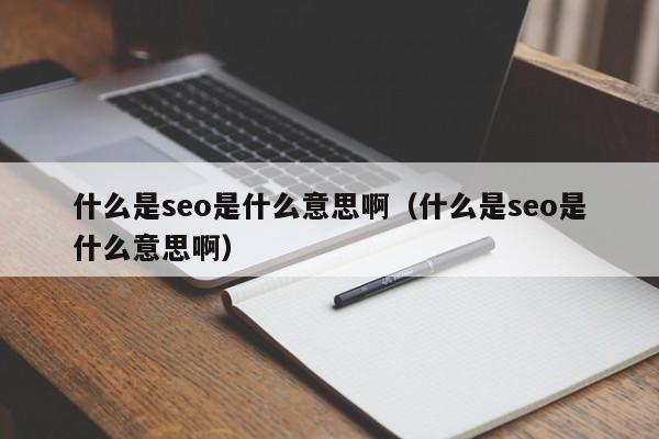 什么是seo是什么意思啊（什么是seo是什么意思啊）