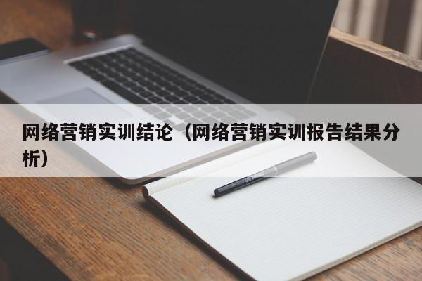 网络营销实训结论（网络营销实训报告结果分析）