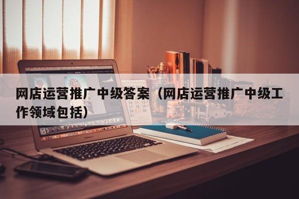 网店运营推广中级答案（网店运营推广中级工作领域包括）