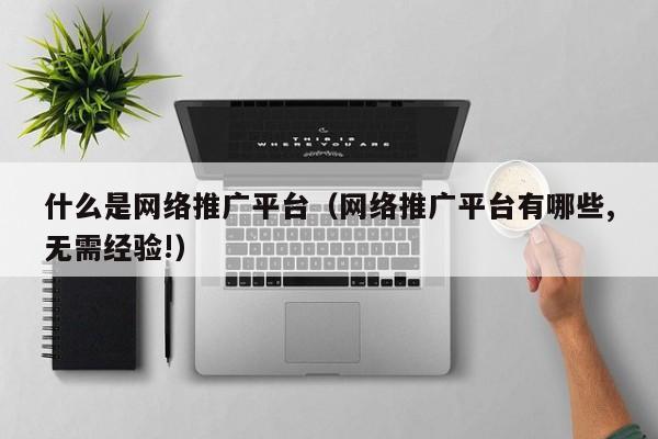 什么是网络推广平台（网络推广平台有哪些,无需经验!）