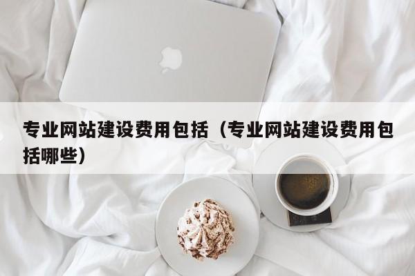 专业网站建设费用包括（专业网站建设费用包括哪些）